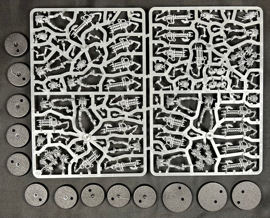 Necron Warriors (Indomitus)