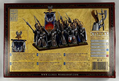 High Elves Pheonix Guard (B)