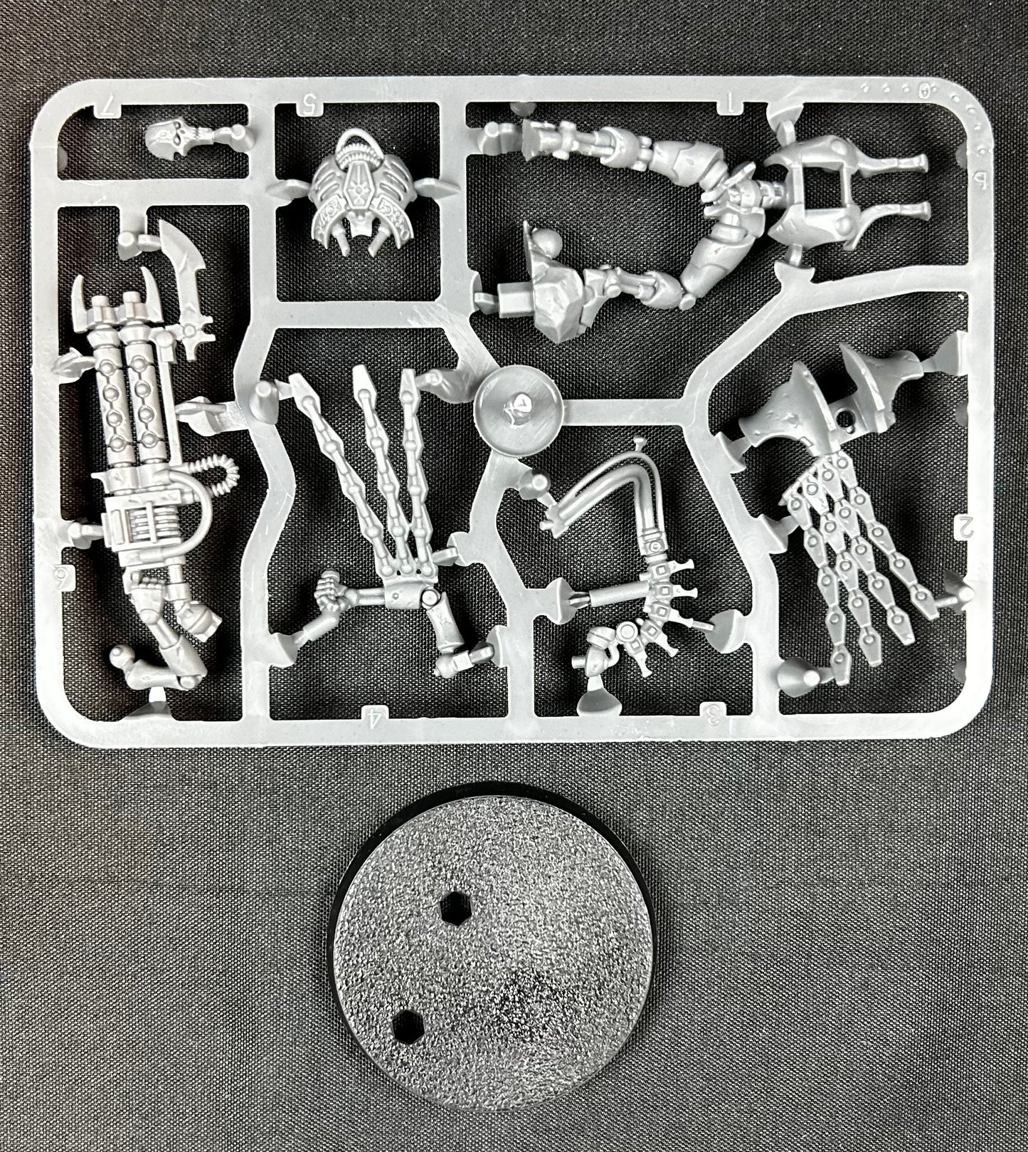 Necron Royal Warden (Indomitus)
