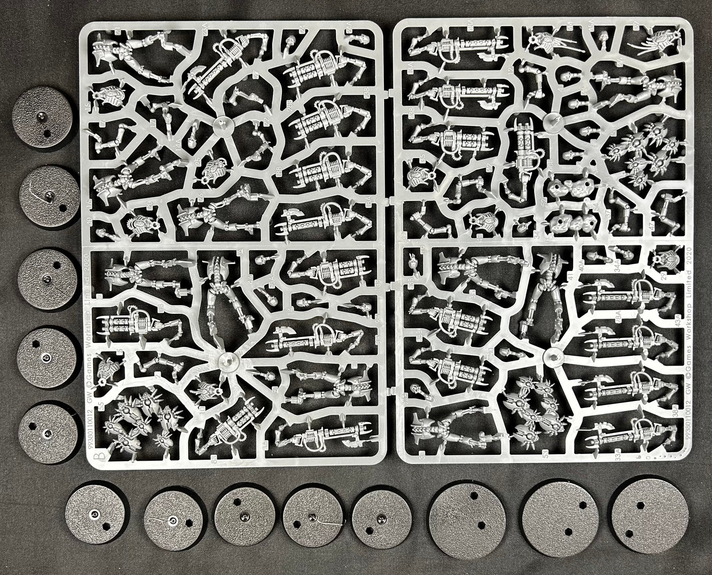 Necron Warriors (Indomitus)