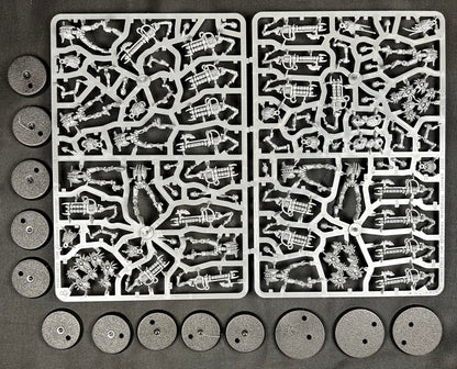 Necron Warriors (Indomitus)