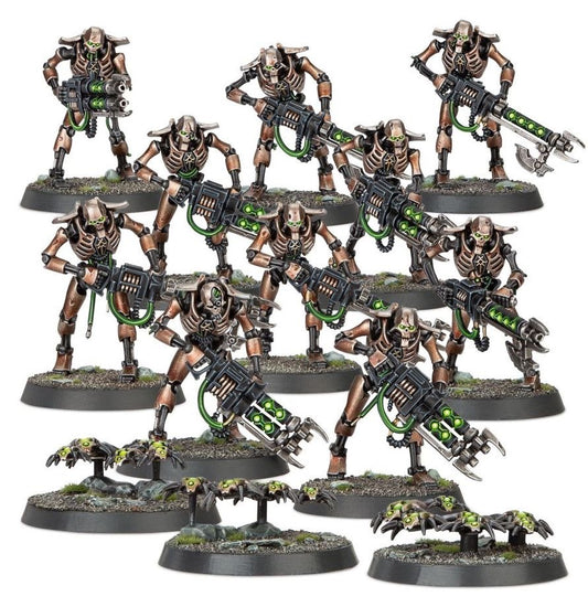 Necron Warriors (Indomitus)