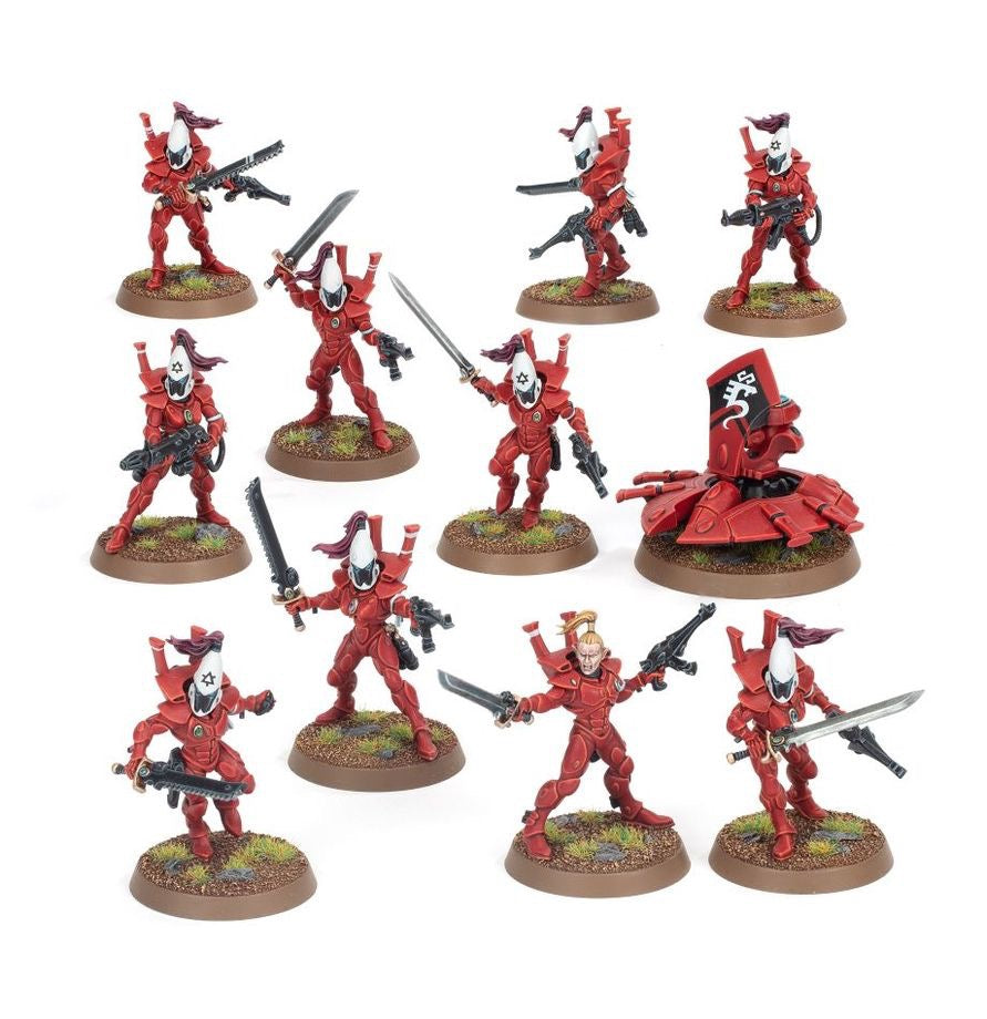 Aeldari Guardian Defenders / Storm Guardians