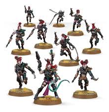 Drukhari Wyches (Missing piece and no bases)